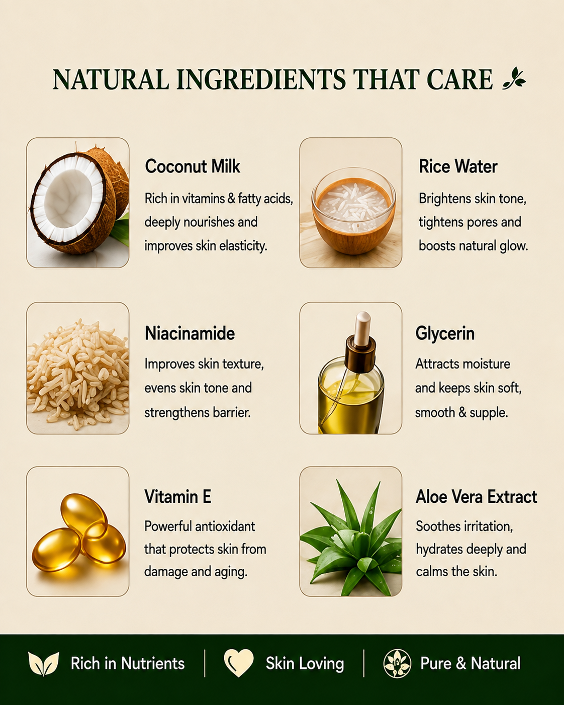 Eastern Ghats Coconut Milk and Rice Water Night Cream ingredients